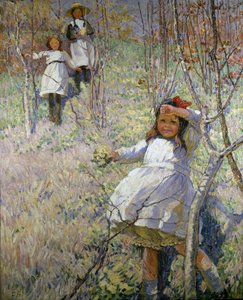 Picking Primroses