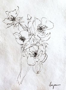 Delicate Floral Drawing