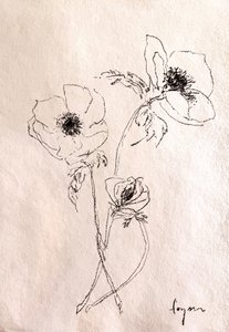 Minimalist Flower Drawing by Dorothy Fagan