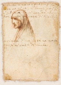 Bust-Length Profile of an Old Woman (verso), c. 1521