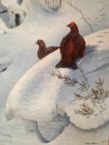Grouse in Snow by Douglas Anderson