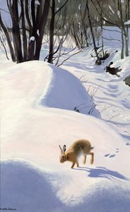 Hare in the Snow