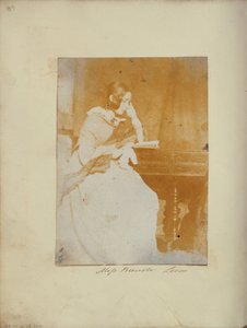 Miss Brewster