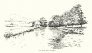The Mole, near Dorking by Duncan Moul