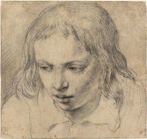 Head of a Young Man