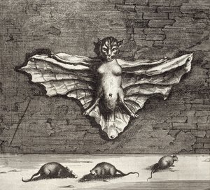 A Bat known as a Flying Cat, from China Illustrated by Athanasius Kircher, 1667 by Dutch School