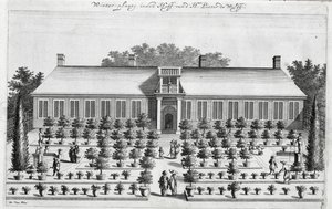 Dutch garden, from De Nederlandze Hesperides by Jan Commelin, published 1676 by Dutch School