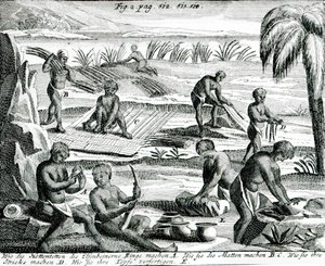 Hottentots by Dutch School