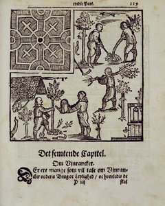 Planting trees, from The Dutch Gardener by Johann van der Groen, published 1699