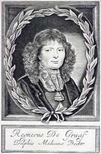 Regnier de Graaf, c.1670 by Dutch School