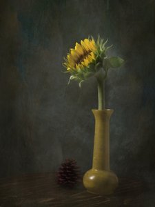 Rustic Sunflower Still Life by EDUARDO LLERANDI
