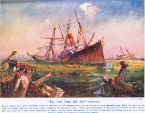 The Very Deep Did Rot by E.S. Hodgson