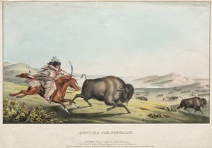 Hunting the Buffalo