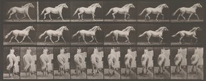 Animal Locomotion. An Electro-Photographic Investigation of Consecutive Phases of Animal Movement
