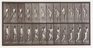 Animal Locomotion. An Electro-Photographic Investigation of Consecutive Phases of Animal, 1880s by Eadweard Muybridge