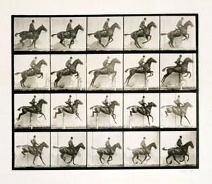 Man and Horse Jumping a Fence