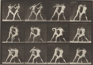 Plate Number 340. Boxing, open hand shoes by Eadweard Muybridge