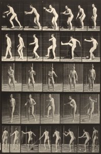Animal Locomotion (plate 300) (Man Kicking a Ball) by Eadweard Muybridge