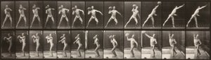 Animal Locomotion (Plate 319) (Man Throwing a Ball)