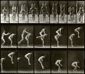 Animal Locomotion by Eadweard Muybridge