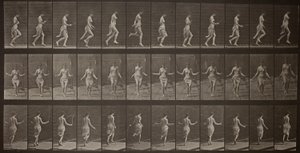 Animal Locomotion, Plate 174 by Eadweard Muybridge