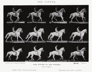 The Canter by Eadweard Muybridge