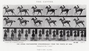 The Canter by Eadweard Muybridge