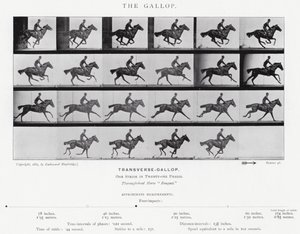 The Gallop