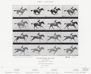 Eadweard Muybridge: The Gallop (b/w photo)