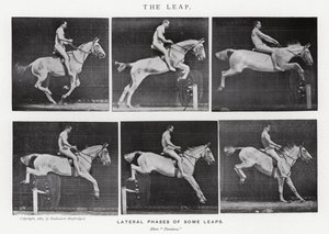 The Leap by Eadweard Muybridge