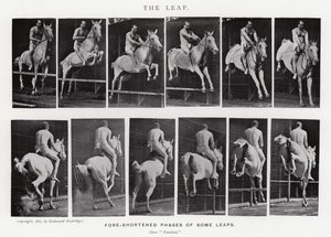 The Leap by Eadweard Muybridge