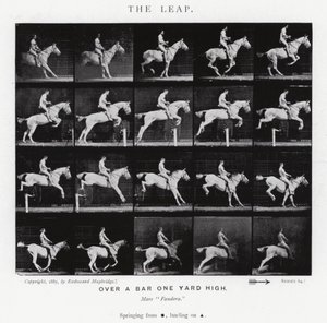 The Leap by Eadweard Muybridge
