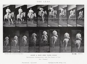 The Leap by Eadweard Muybridge