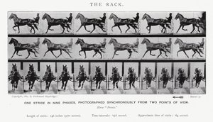 The Rack by Eadweard Muybridge