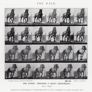 Eadweard Muybridge: The Walk by Eadweard Muybridge