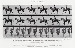 Eadweard Muybridge: The Walk by Eadweard Muybridge
