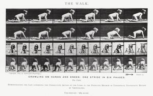 Eadweard Muybridge: The Walk by Eadweard Muybridge
