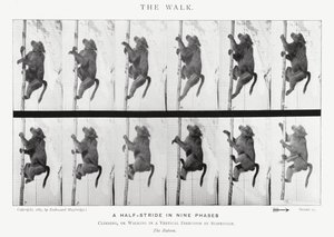 Eadweard Muybridge: The Walk by Eadweard Muybridge