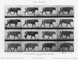 Eadweard Muybridge: The Walk by Eadweard Muybridge