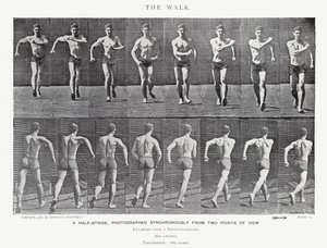 Eadweard Muybridge: The Walk by Eadweard Muybridge