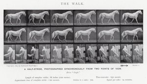 The Walk by Eadweard Muybridge