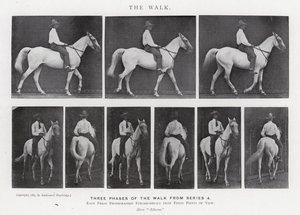 The Walk by Eadweard Muybridge