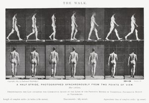 The Walk by Eadweard Muybridge