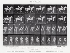 The Walk by Eadweard Muybridge