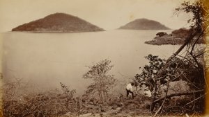 Perico and Flamenco from Island of Naos, Panama by Eadweard Muybridge