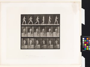Plate 10. Walking by Eadweard Muybridge