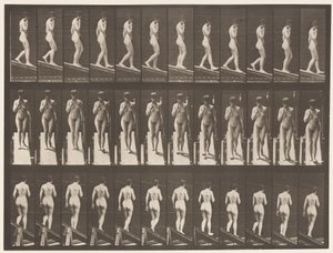 Plate 116. Descending Incline, One Hand On Chin