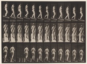 Plate 119. Descending Incline, Right Hand on Breast