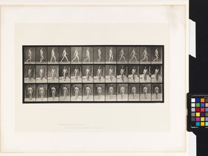 Plate 11. Walking by Eadweard Muybridge