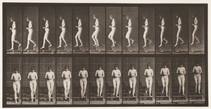 Descending Stairs, Hands Clasped by Eadweard Muybridge